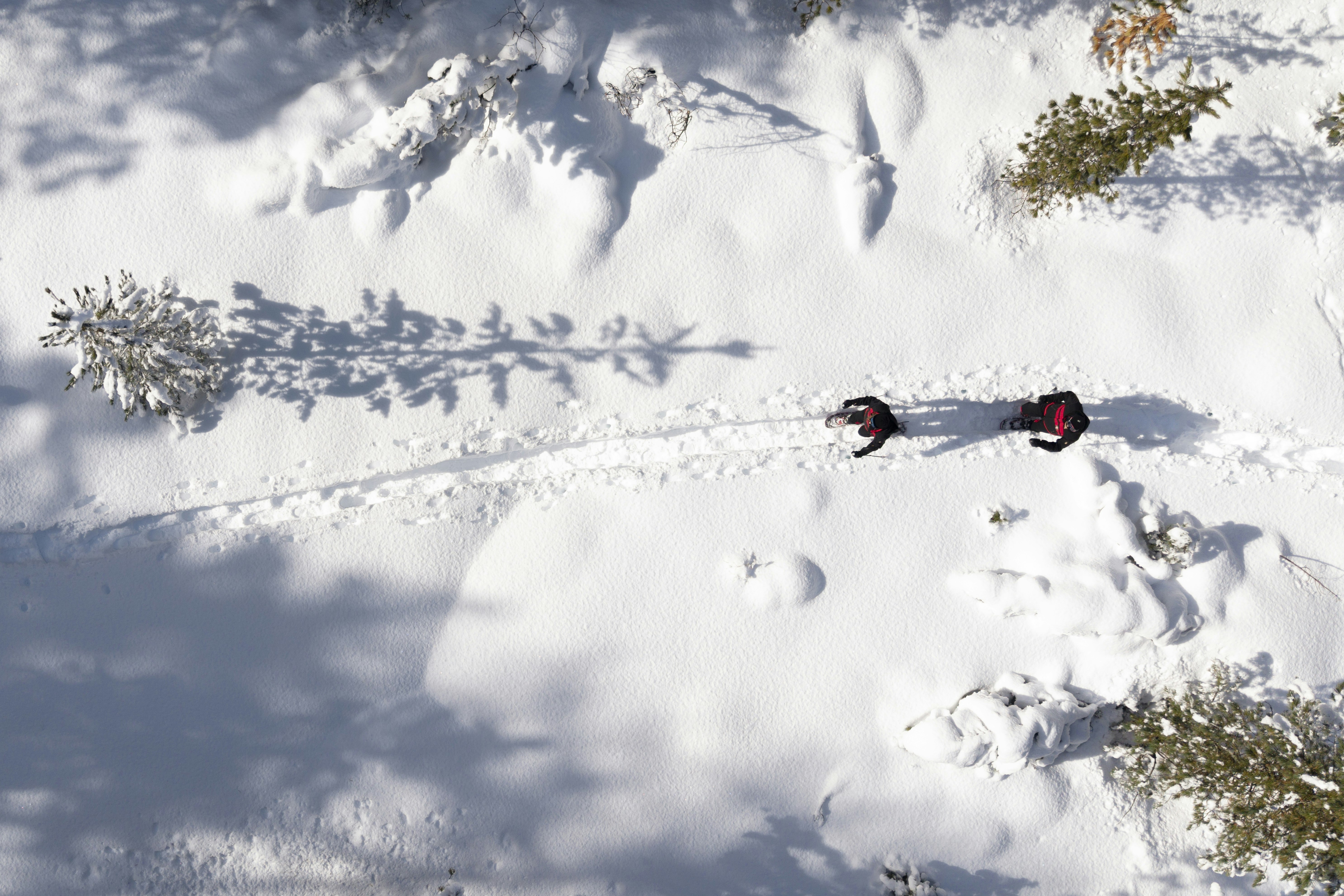 Schneeschuh