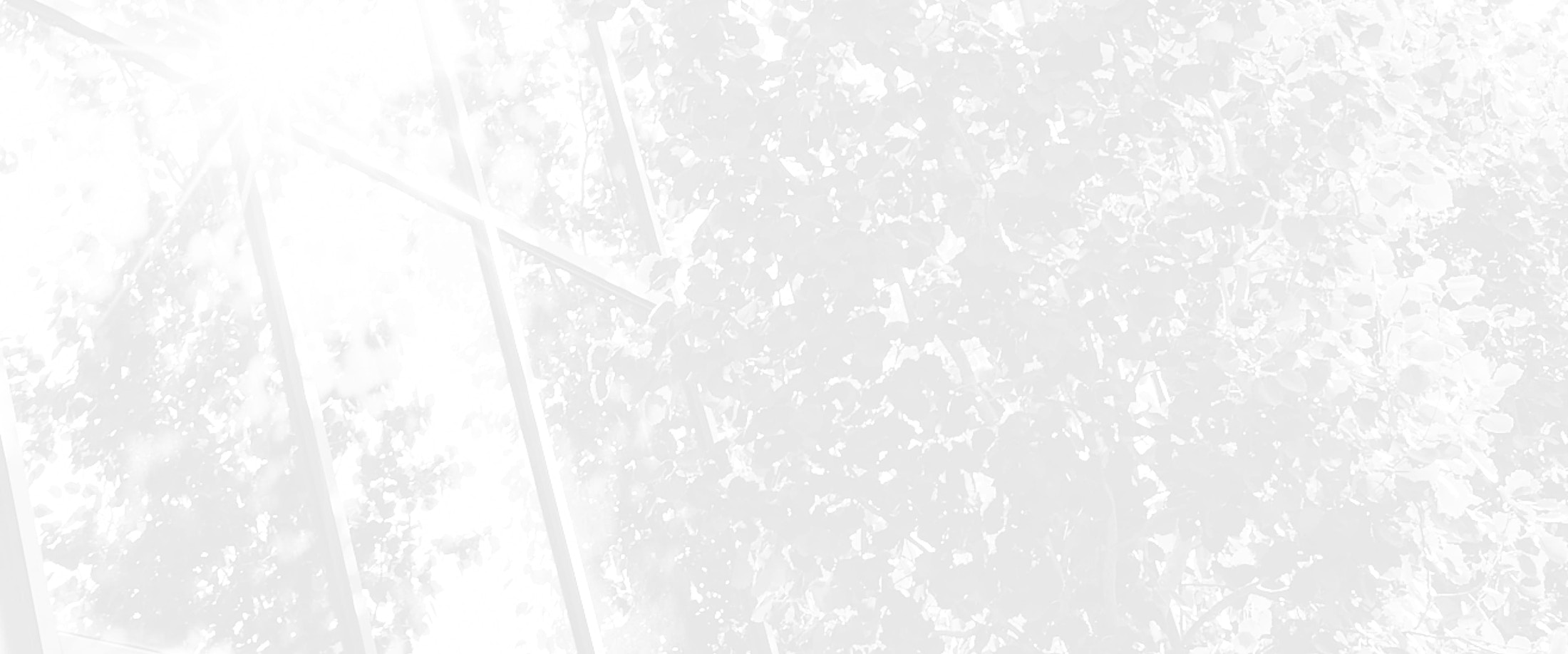 Banner media