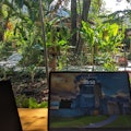 Laptops und eine Wasserflasche auf einem Holztisch mit einem üppigen Garten im Hintergrund.