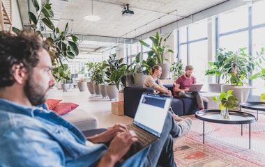Drei Personen arbeiten an Laptops in einem hellen, modernen Büroraum mit großen Fenstern und viel Grün.