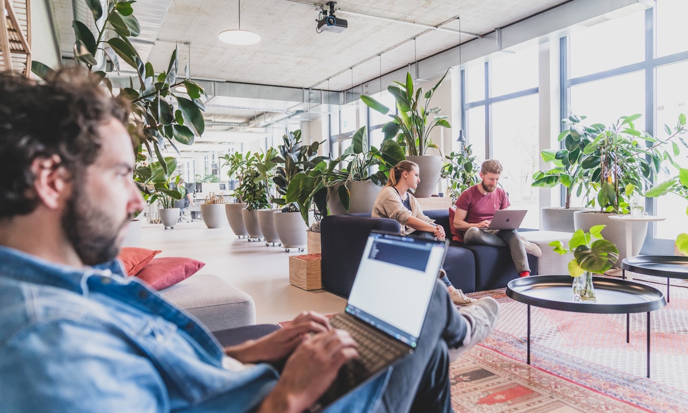Drei Personen arbeiten an Laptops in einem hellen, modernen Büroraum mit großen Fenstern und viel Grün.