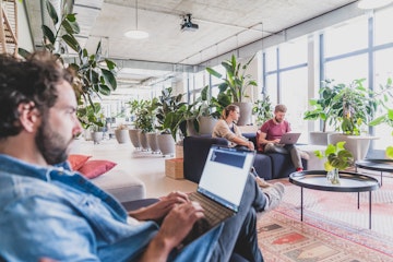 Drei Personen arbeiten an Laptops in einem hellen, modernen Büroraum mit großen Fenstern und viel Grün.