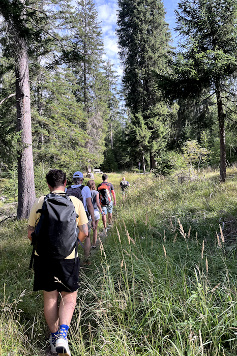 Eine Gruppe mit mehreren Personen wander durch hohes Gras einen Berg hinauf.