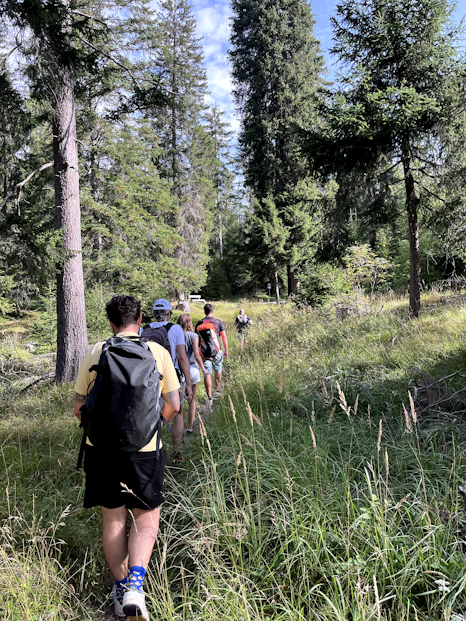 Eine Gruppe mit mehreren Personen wander durch hohes Gras einen Berg hinauf.