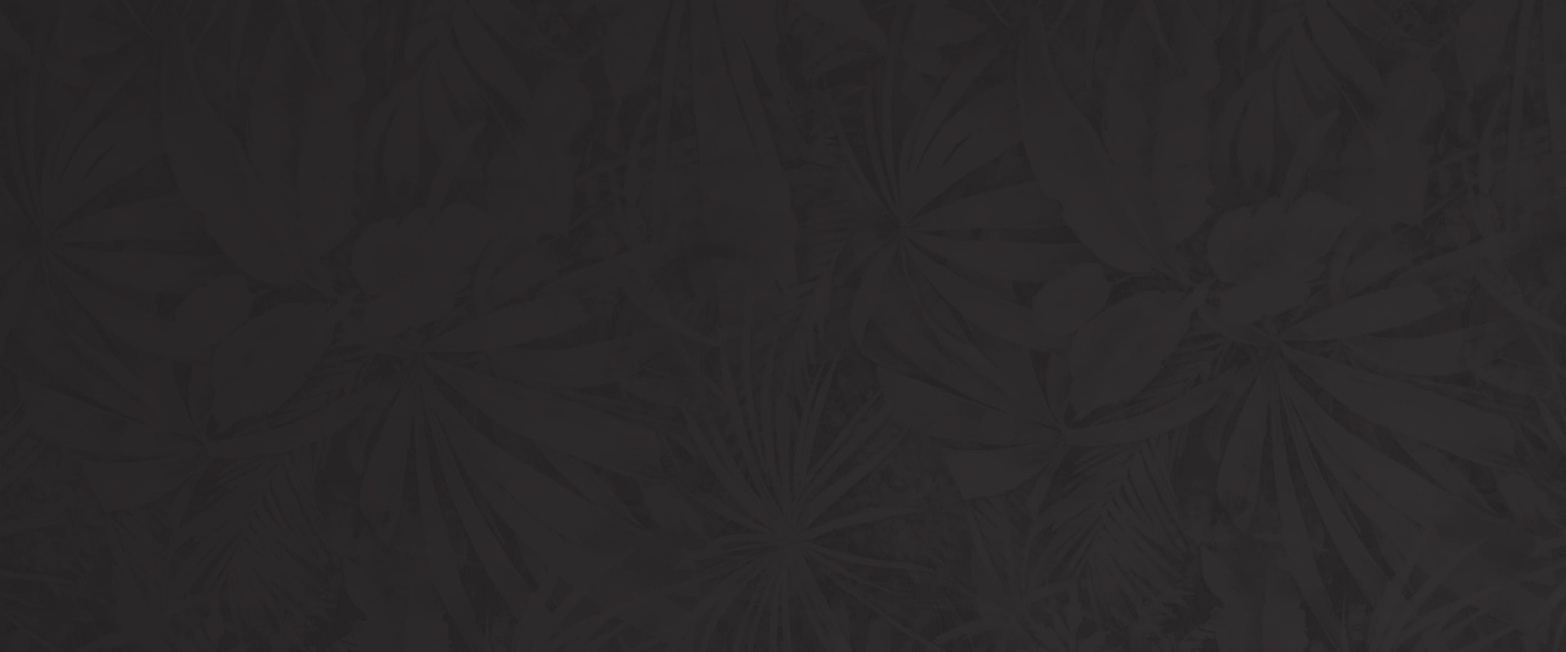 Banner media