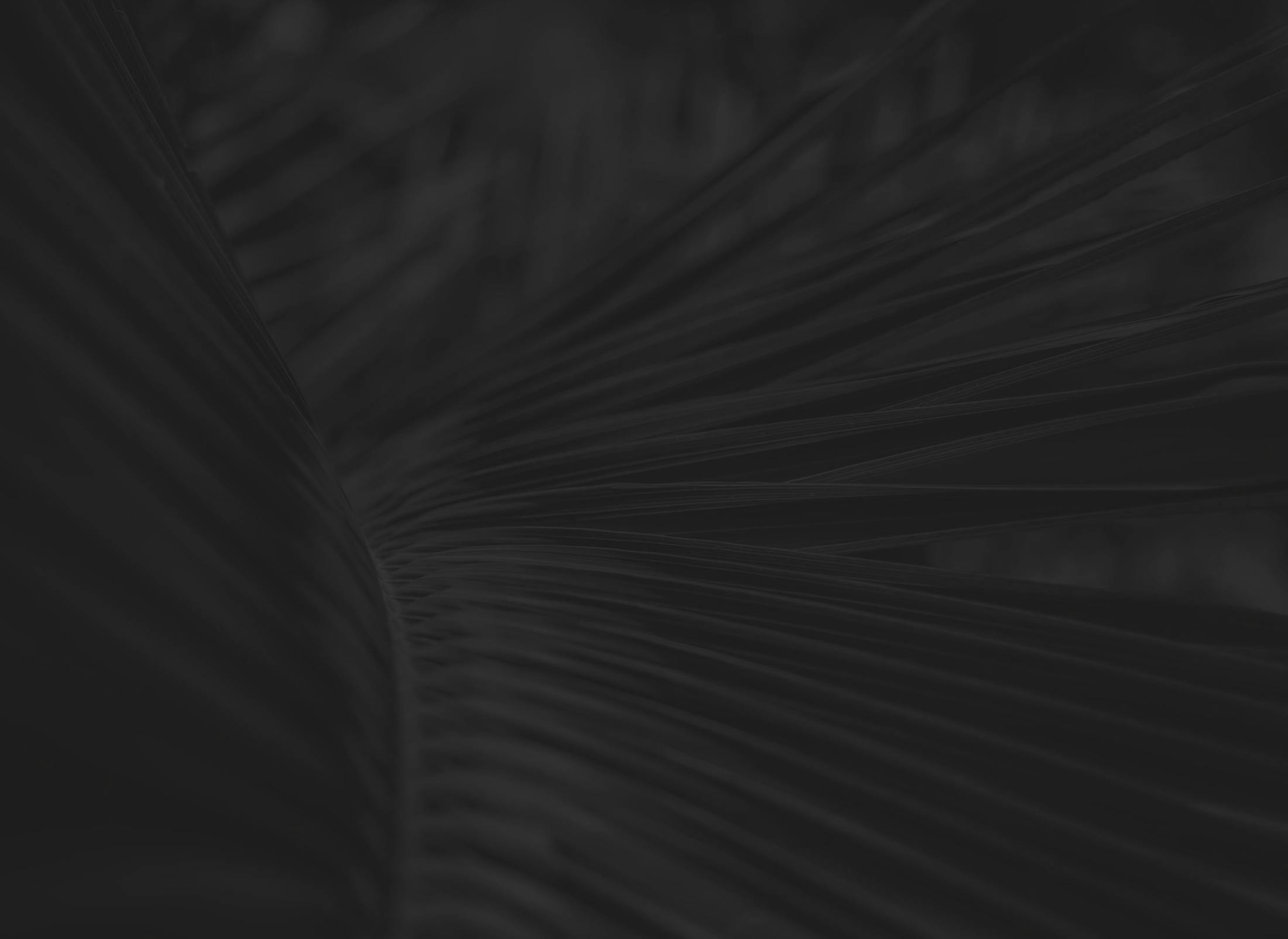 Background media