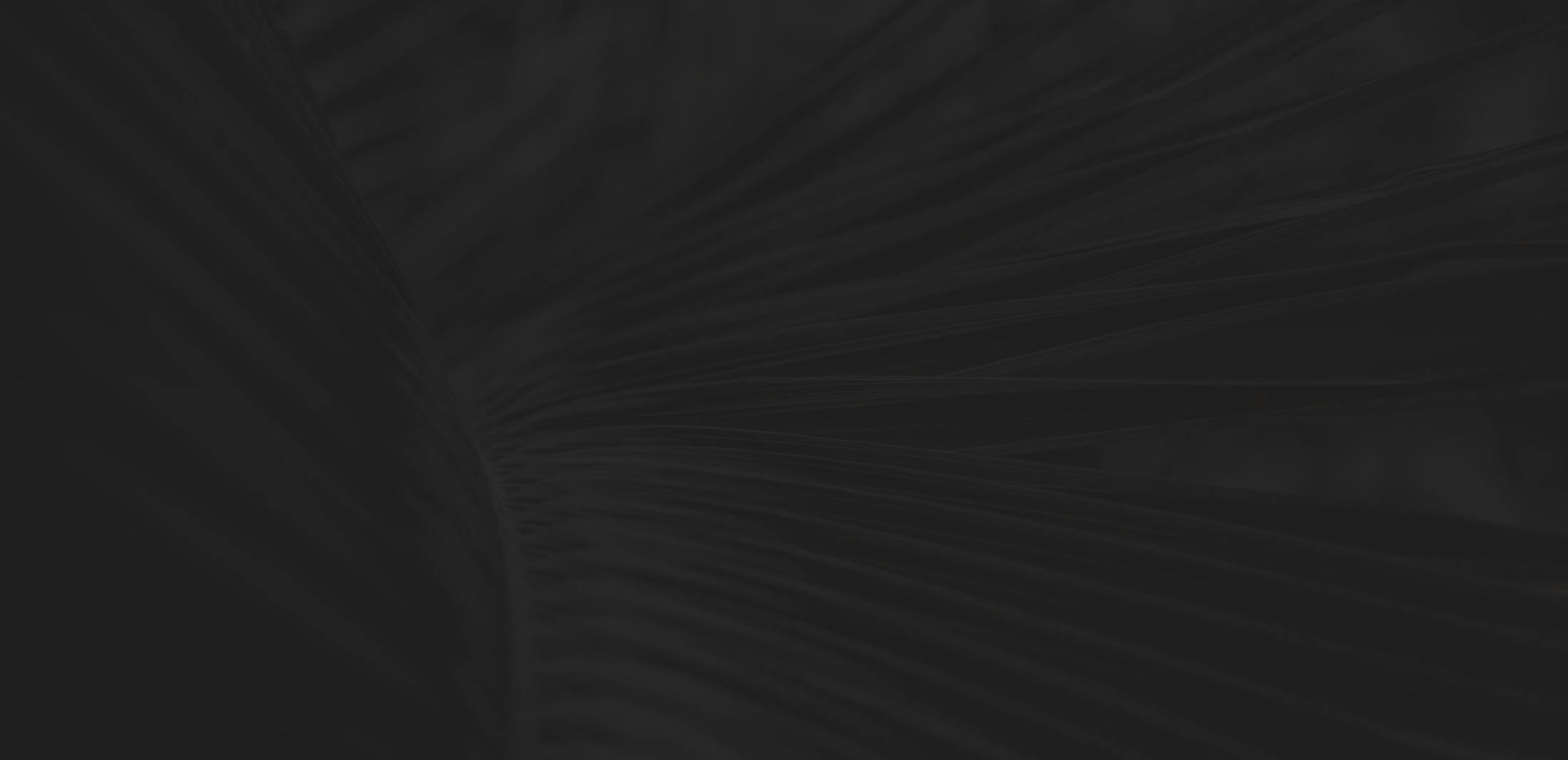 Very darkened image of leaves