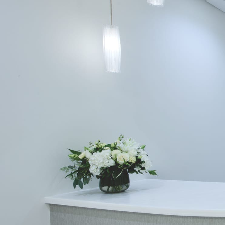 counter with flower pot and a light above it