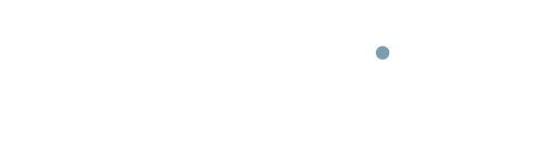 Ahn Point Plastic Surgery logo