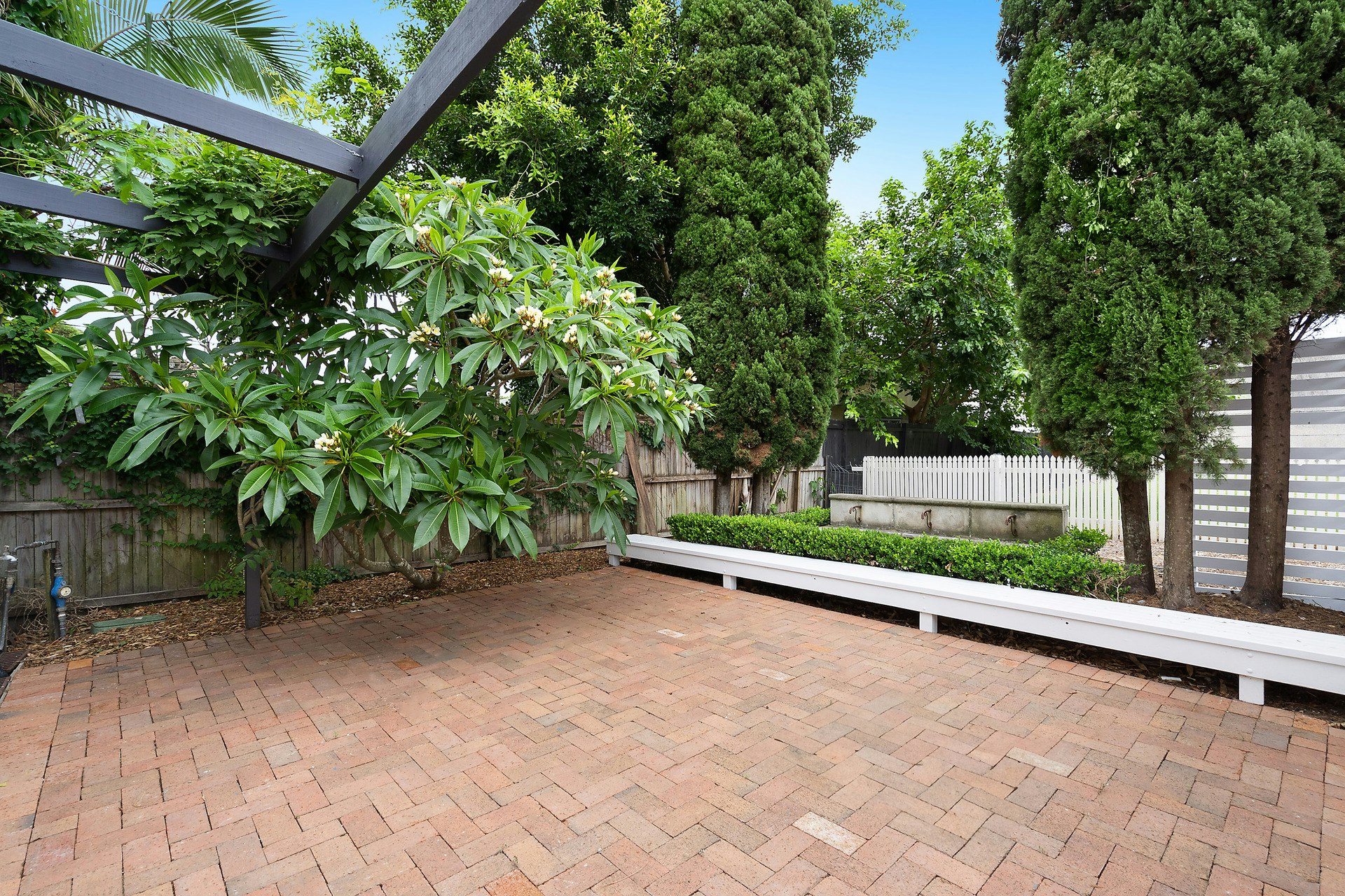 Image of path