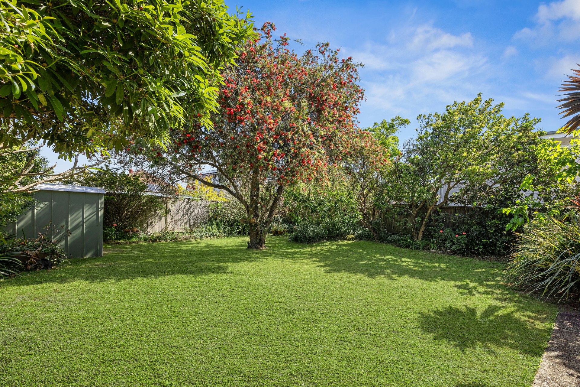 Image of grass