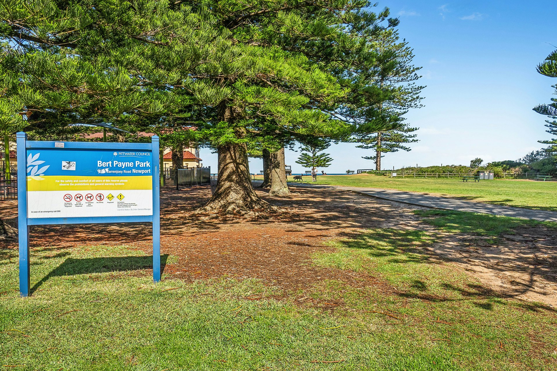Image of grass