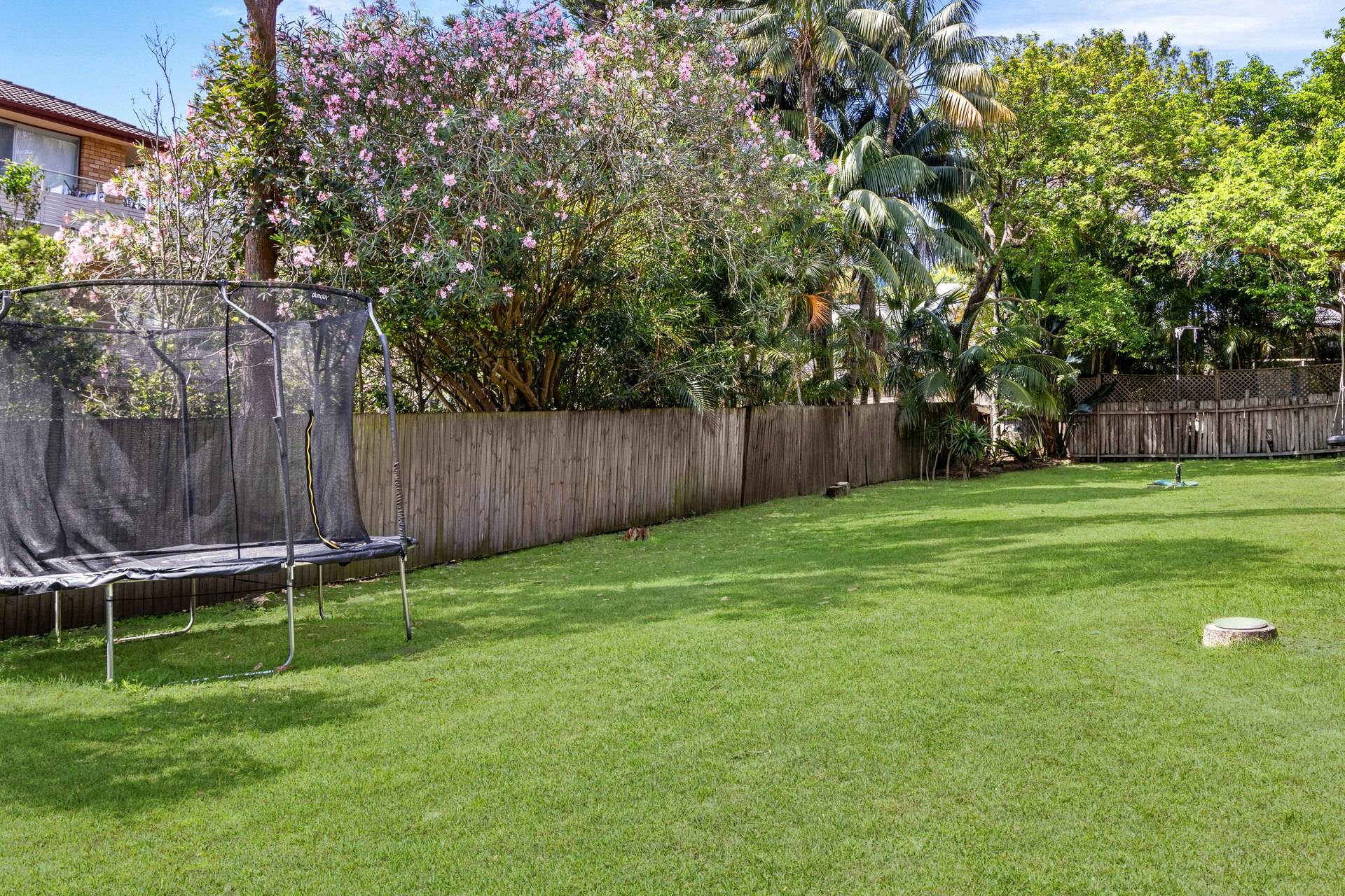 Image of backyard