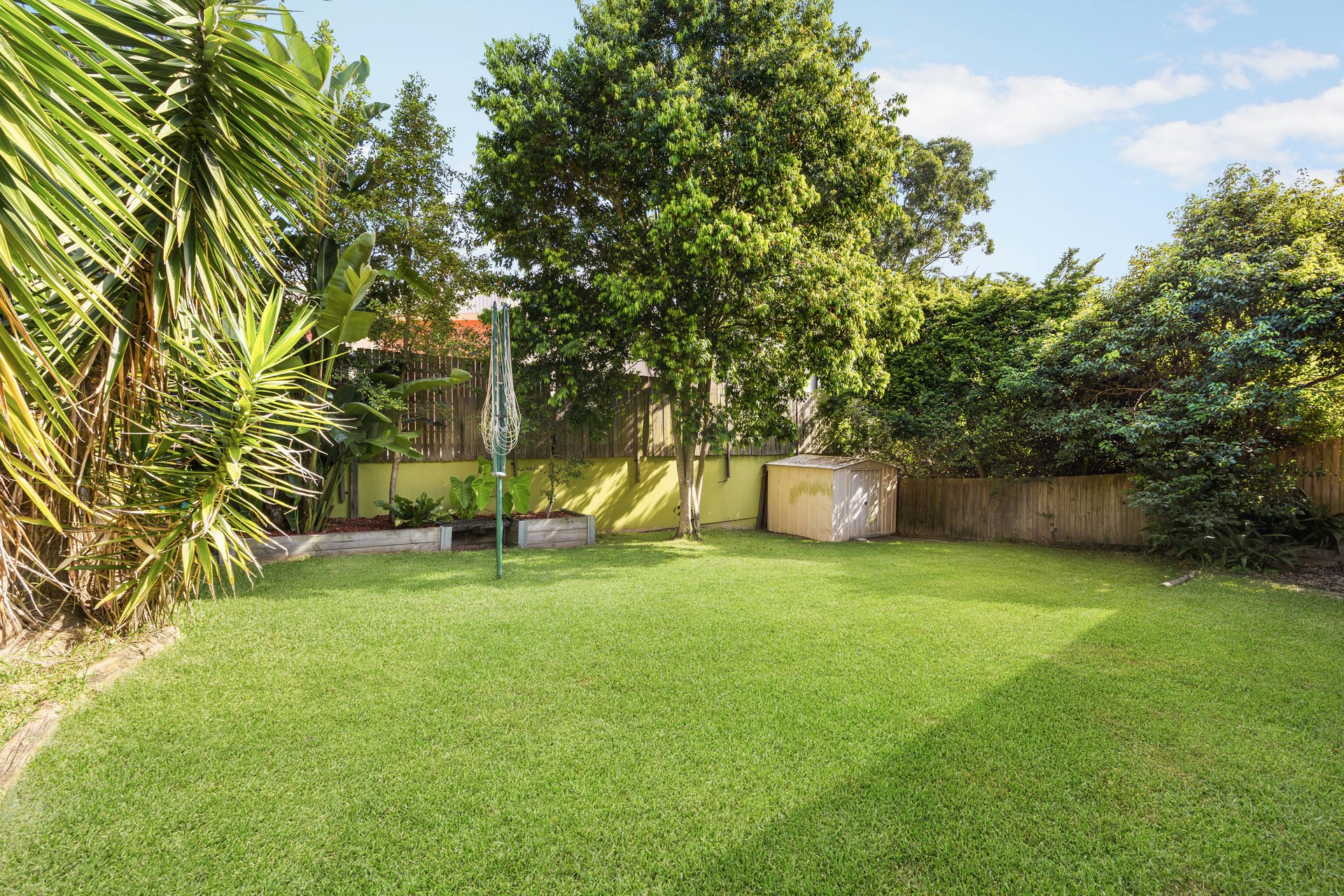 Image of backyard