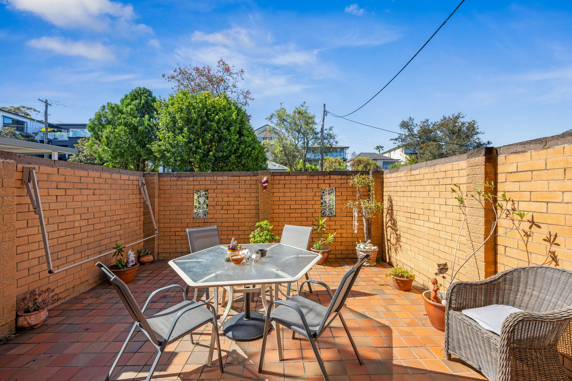 Image of backyard