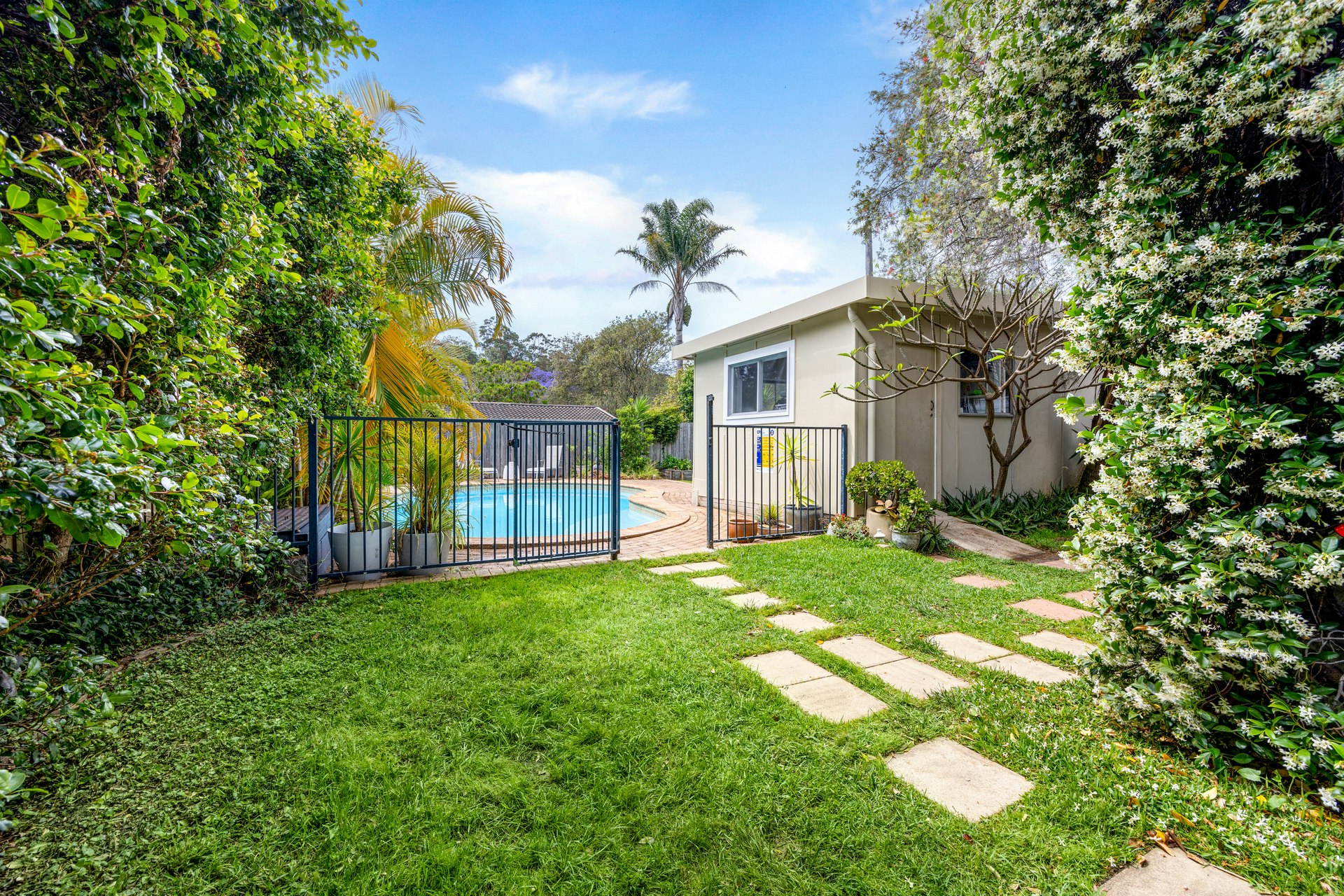 Image of backyard