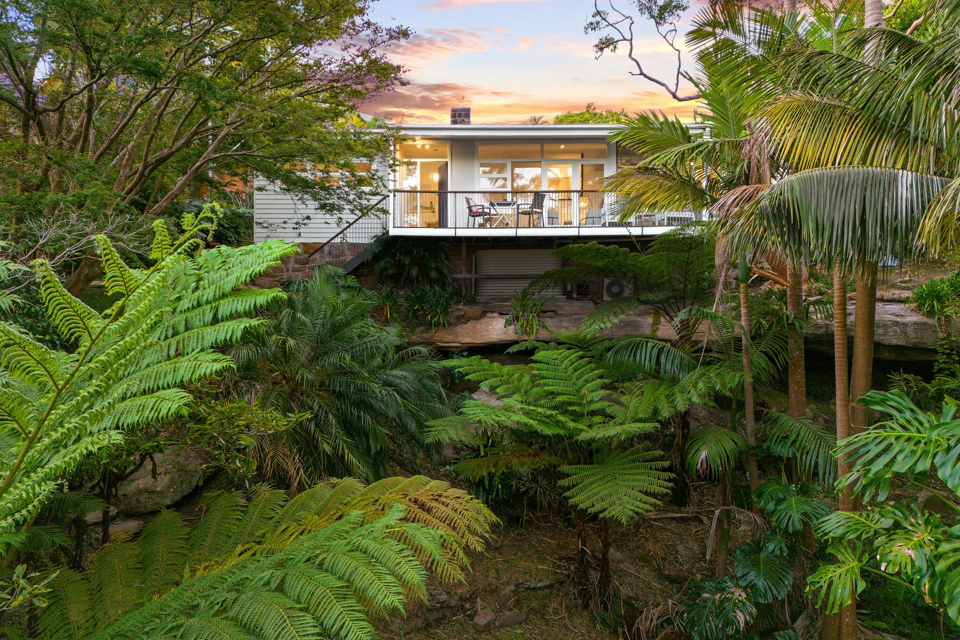 Image of fern