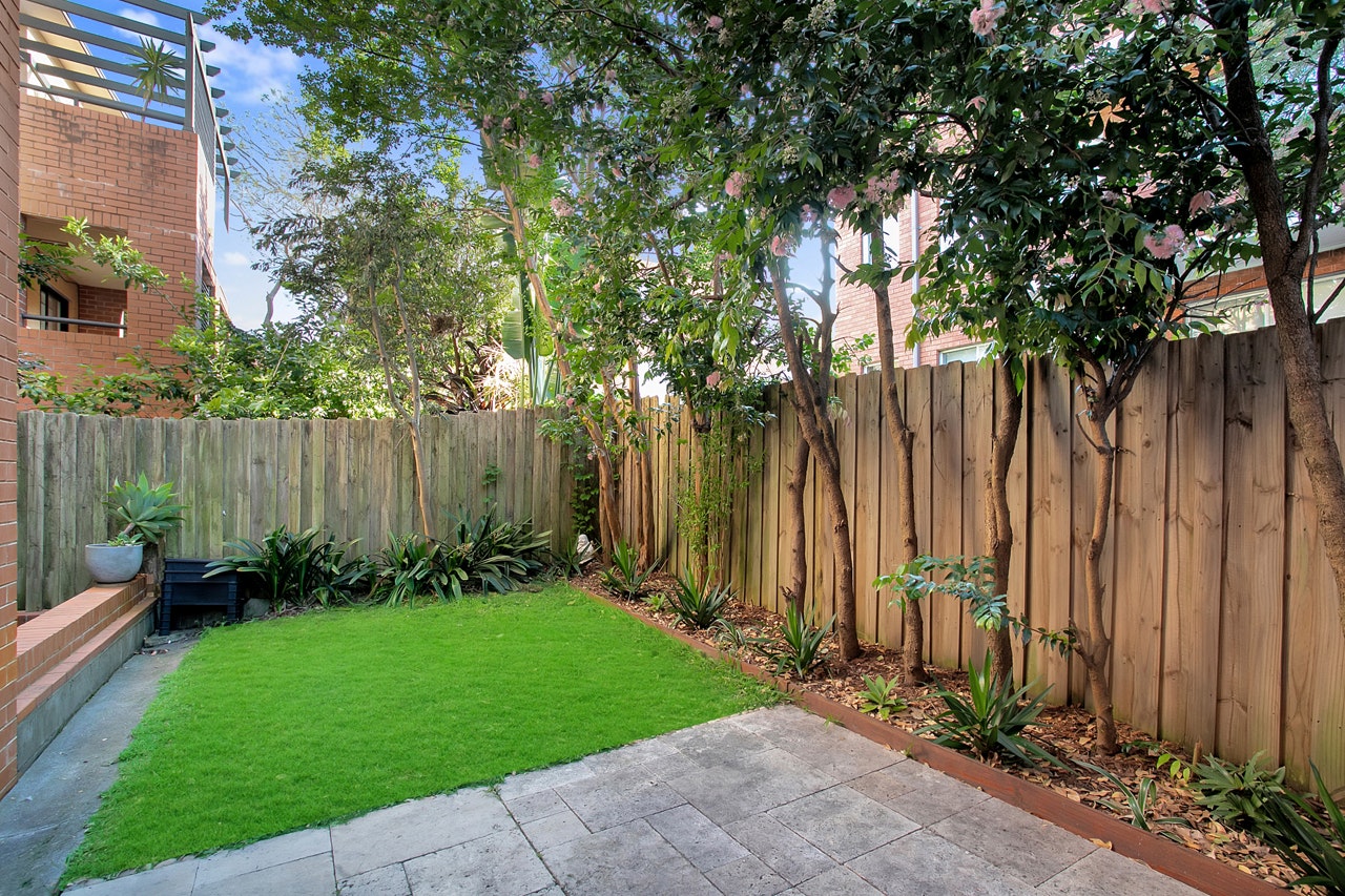 Image of backyard