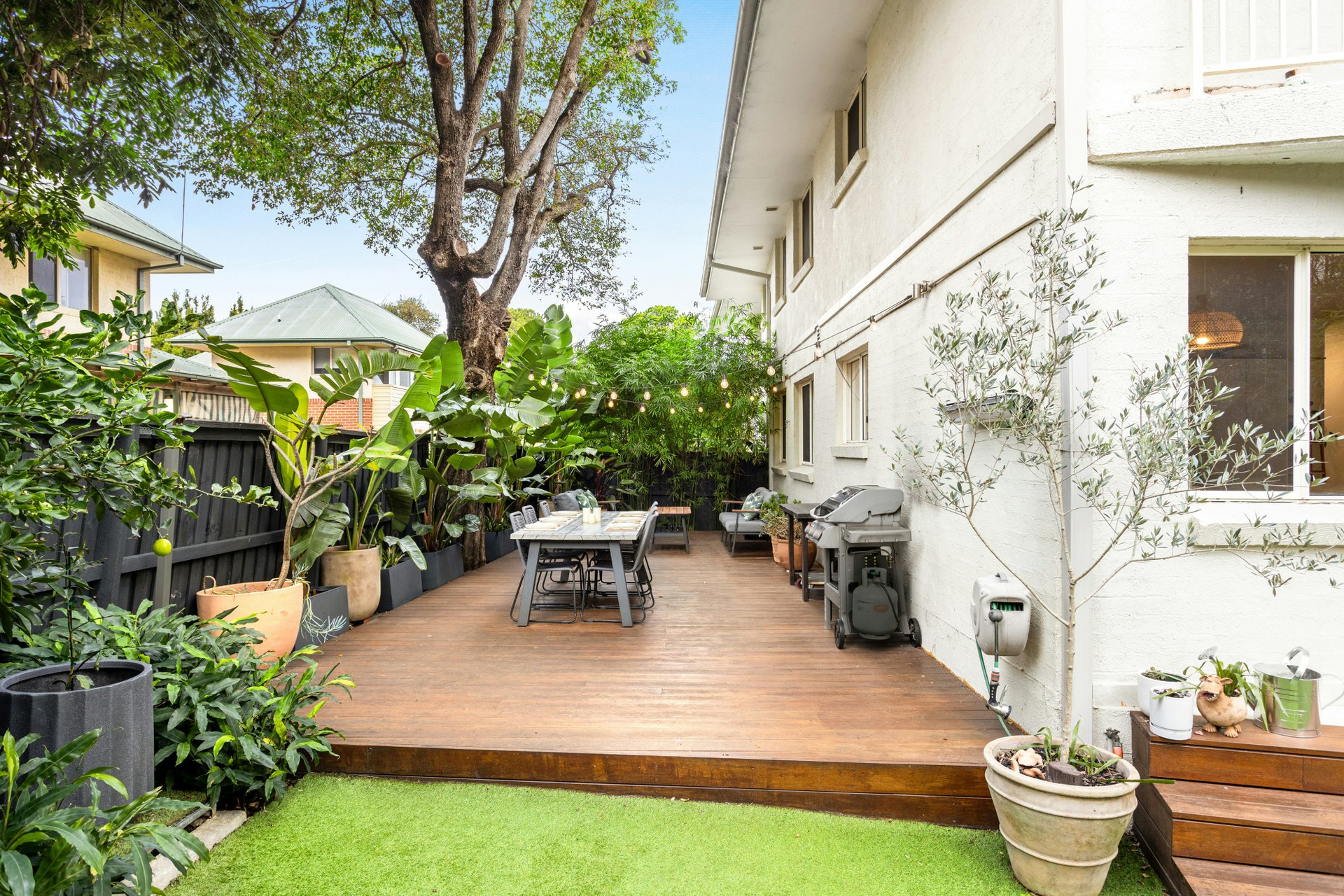 Image of backyard