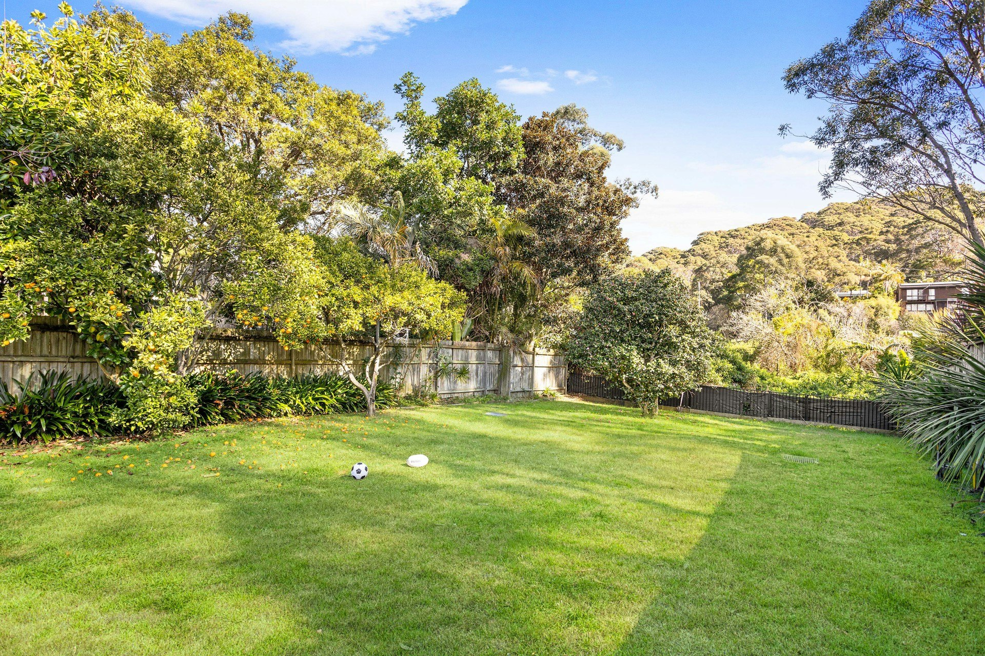 Image of backyard