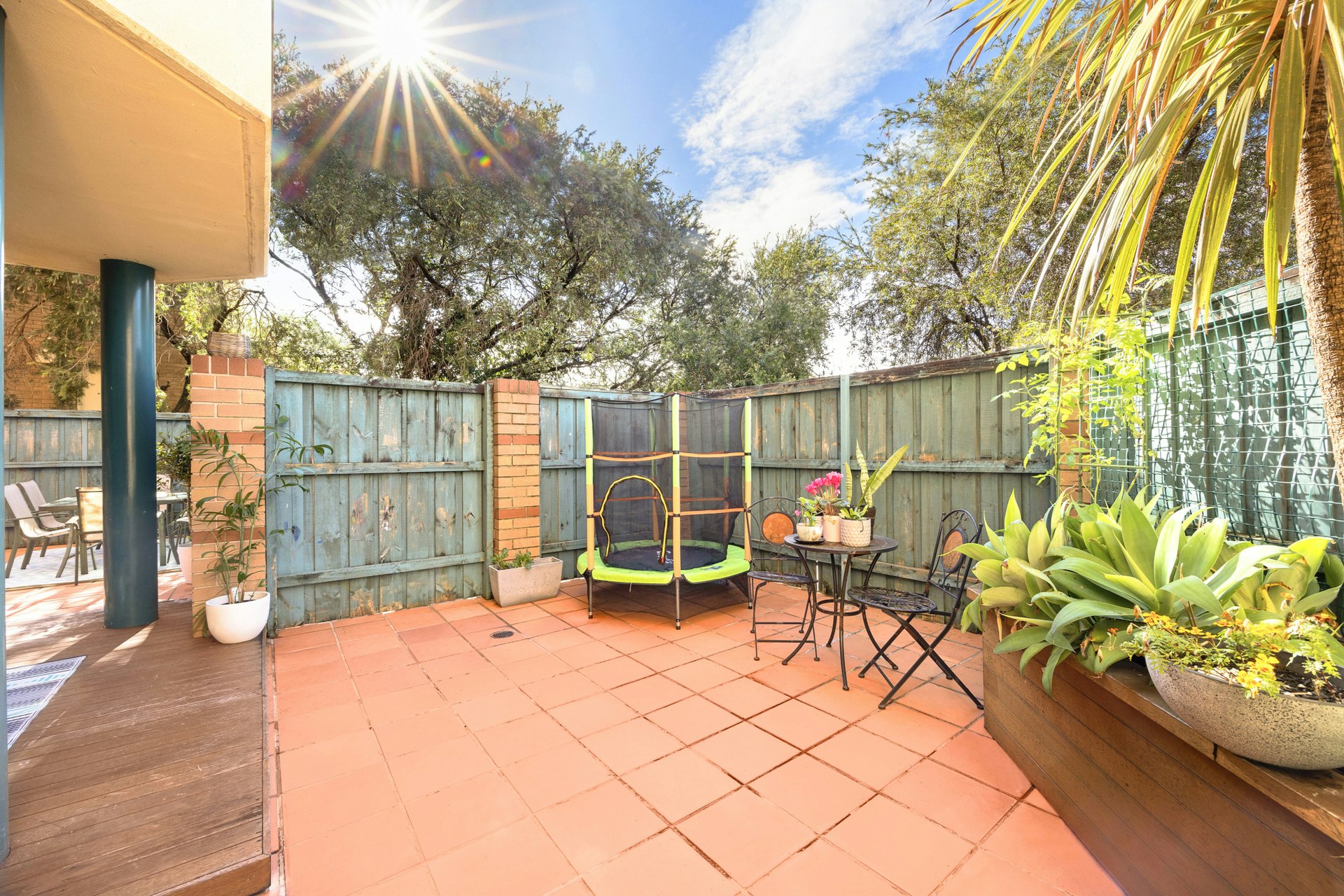 Image of backyard