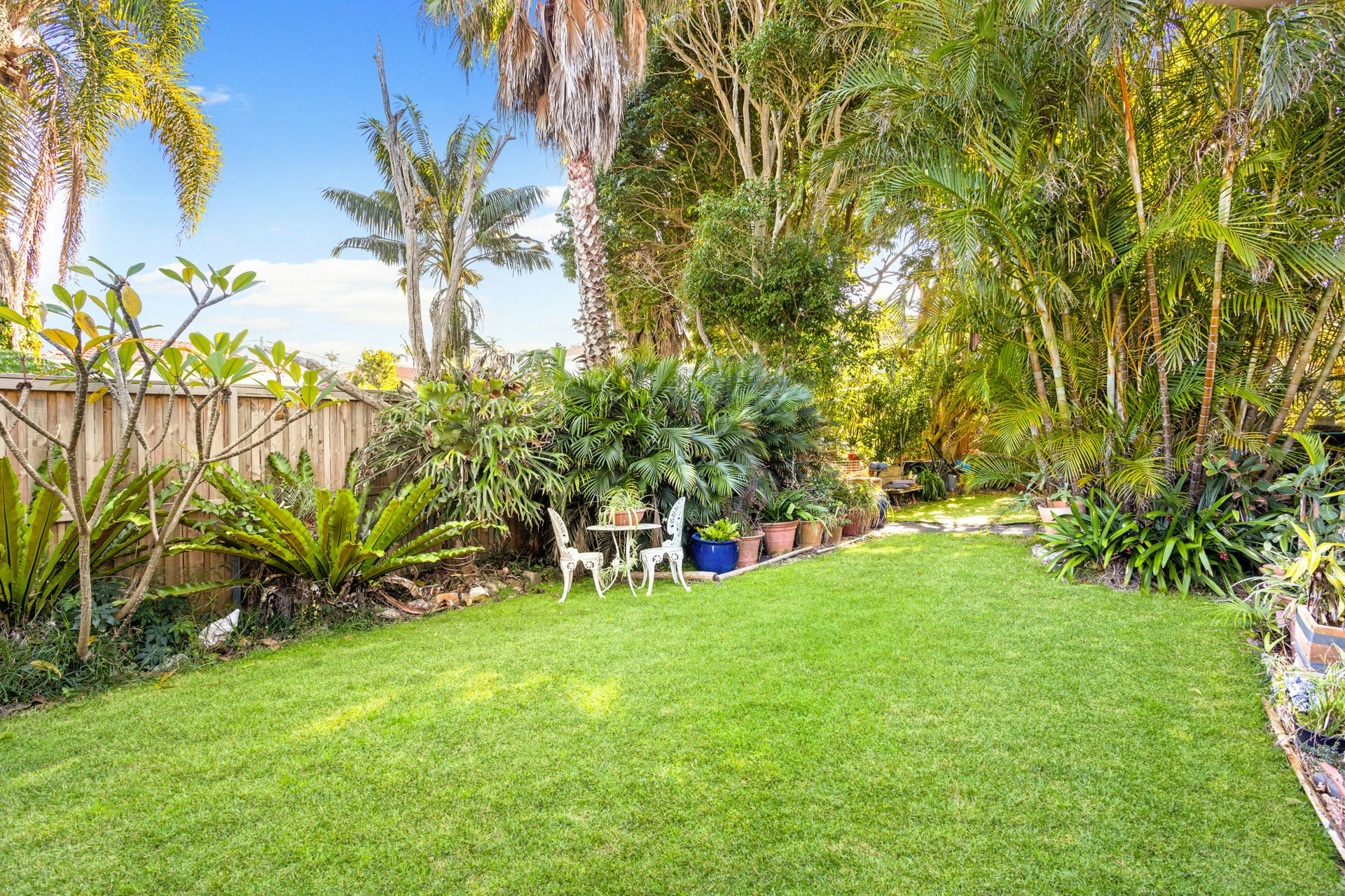 Image of backyard