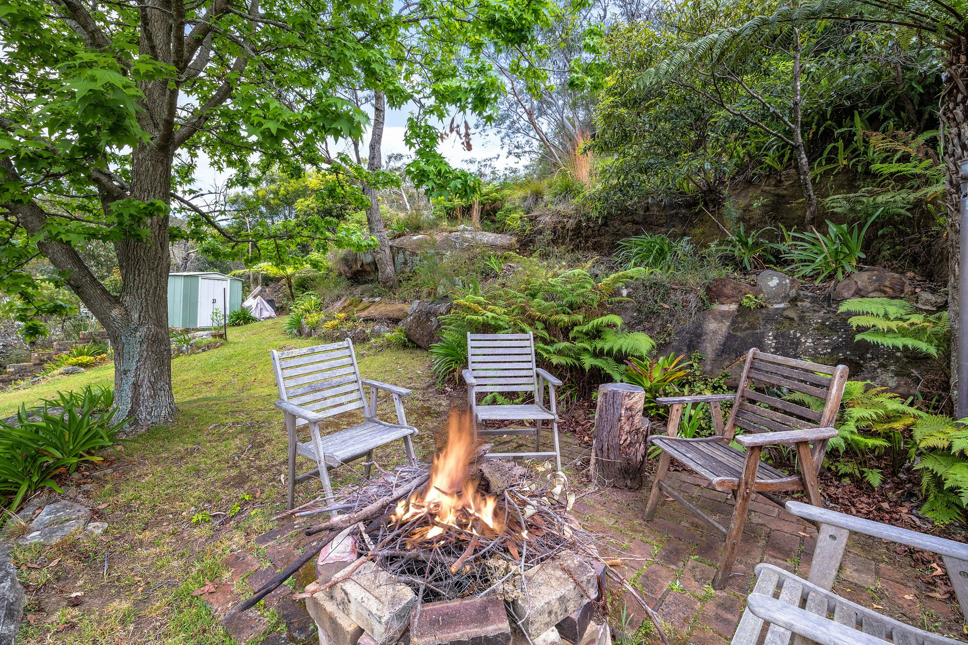 Image of backyard