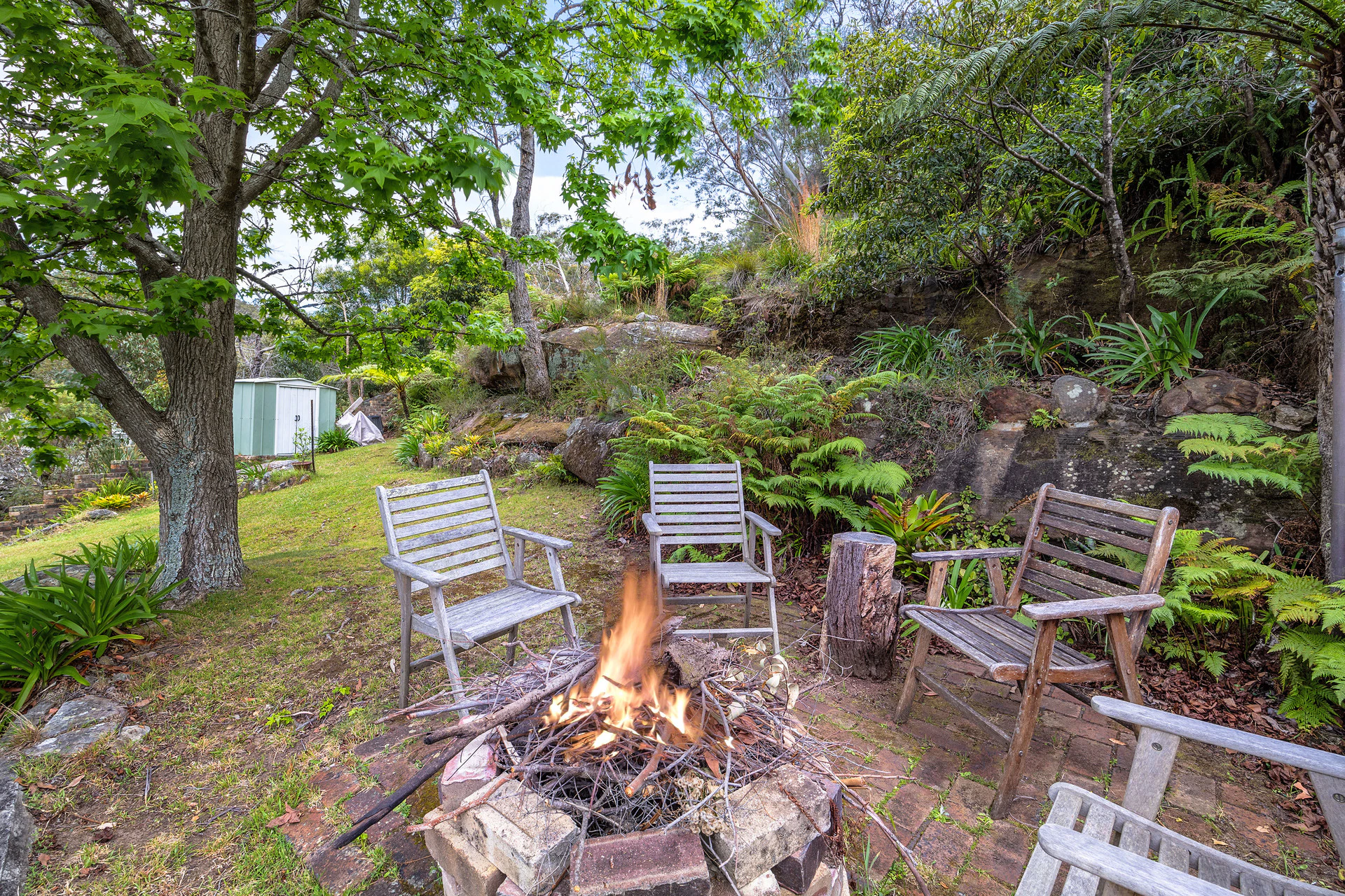 backyard