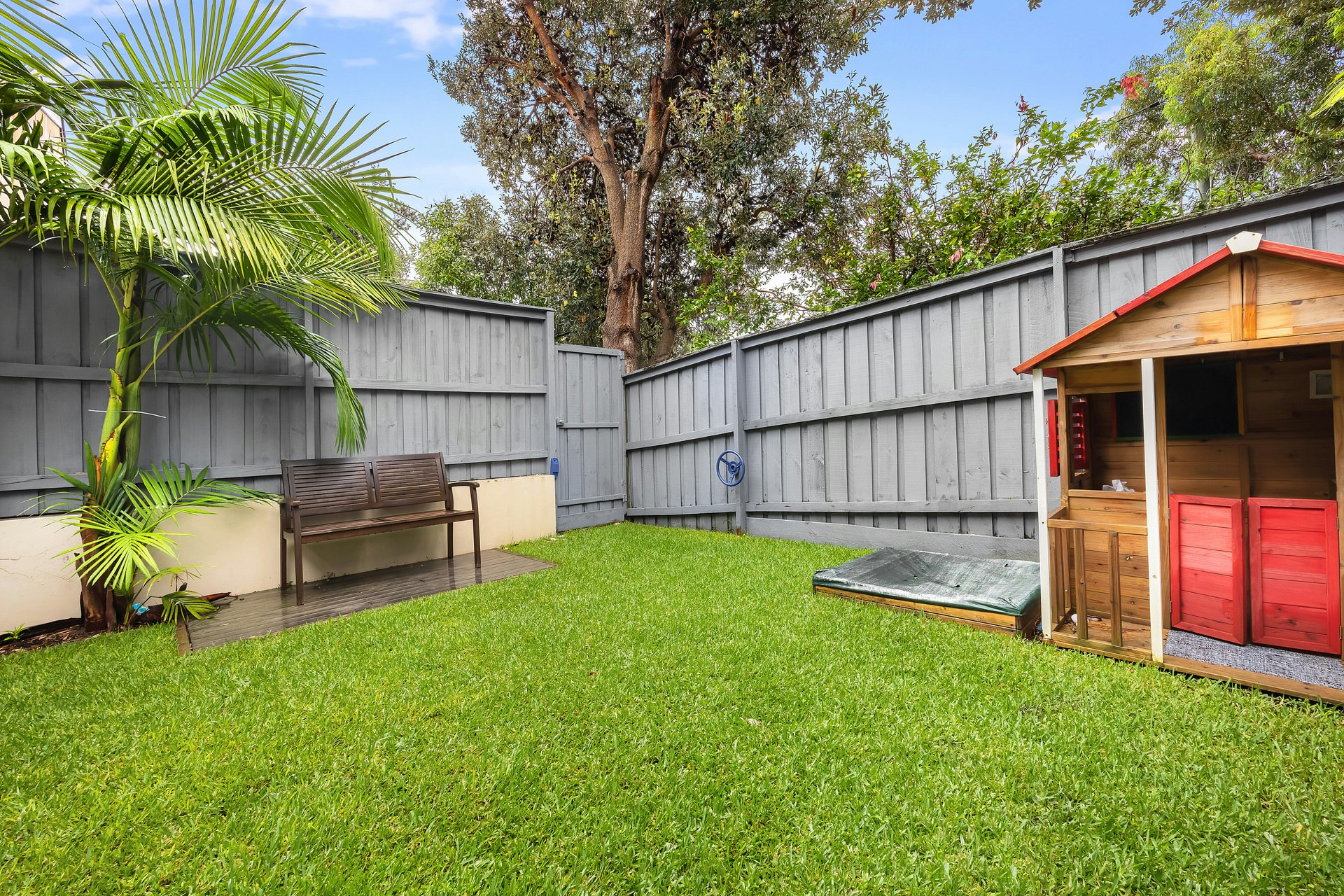 Image of backyard