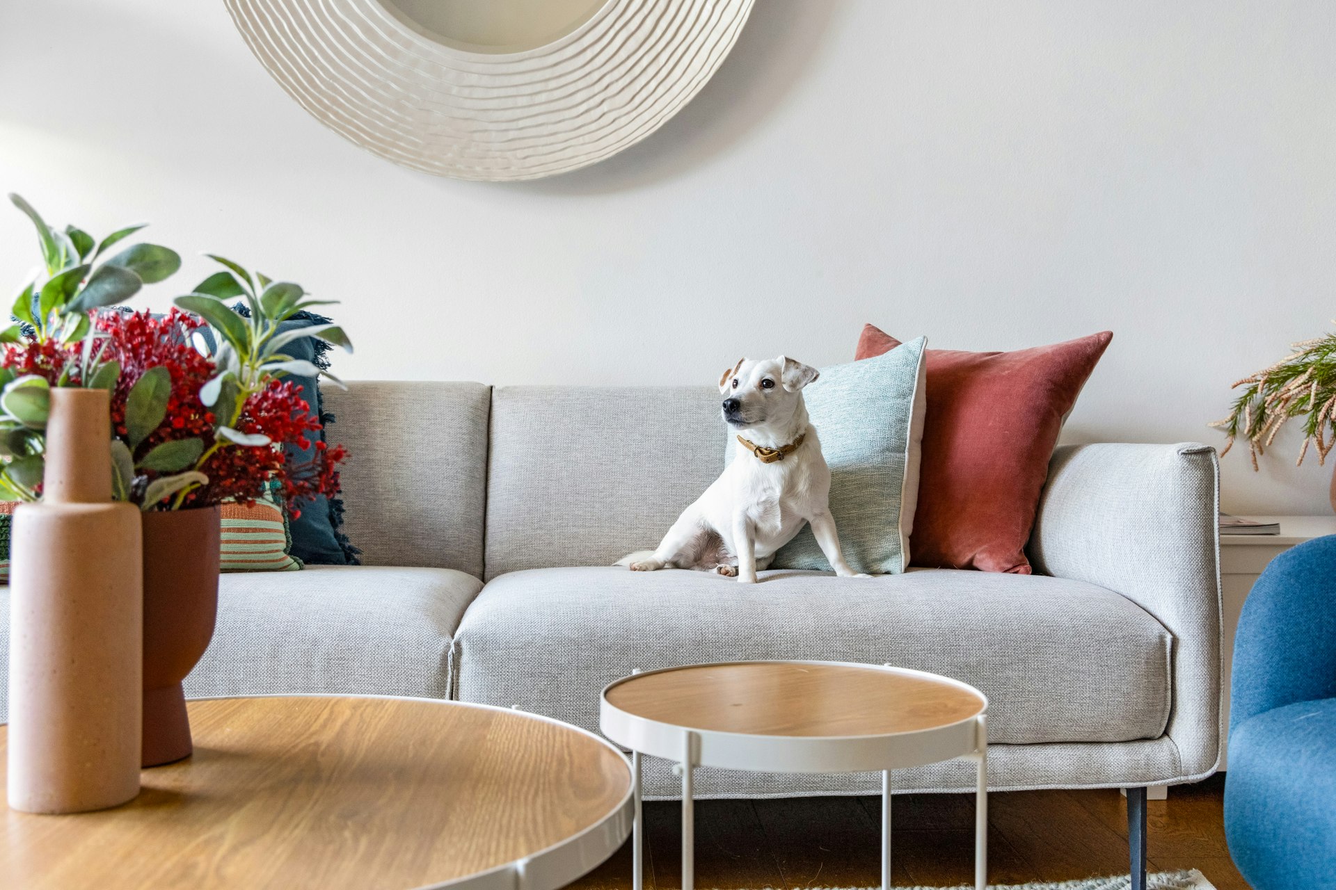Image of couch