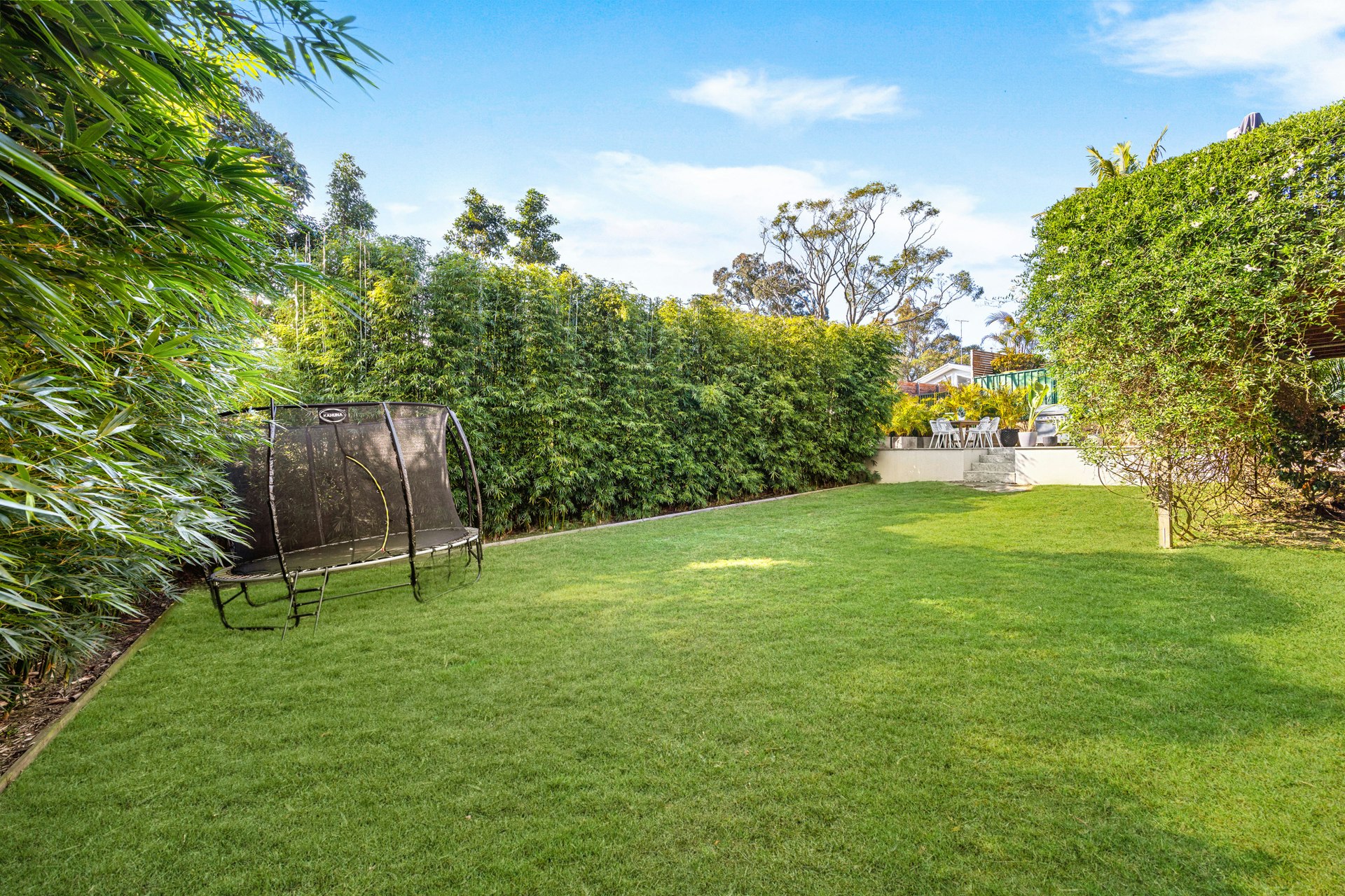 Image of grass