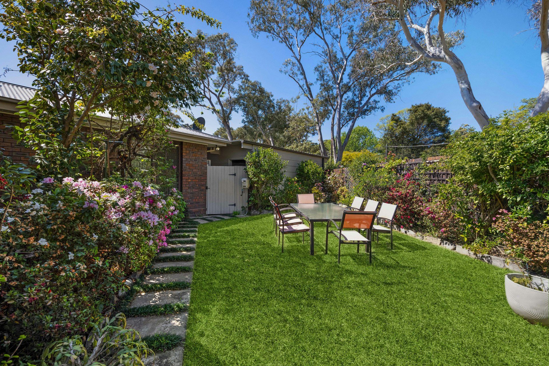 Image of backyard