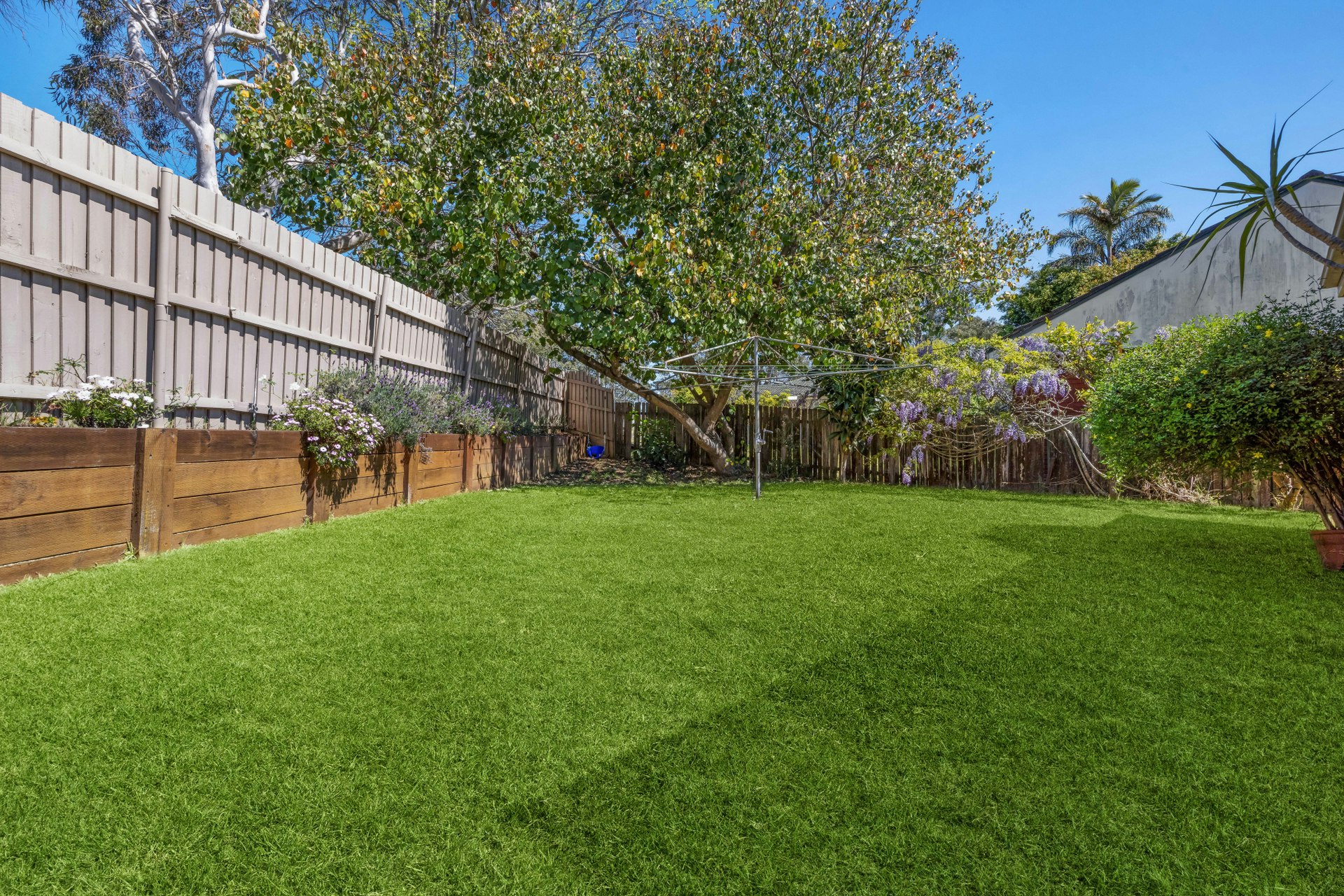 Image of backyard
