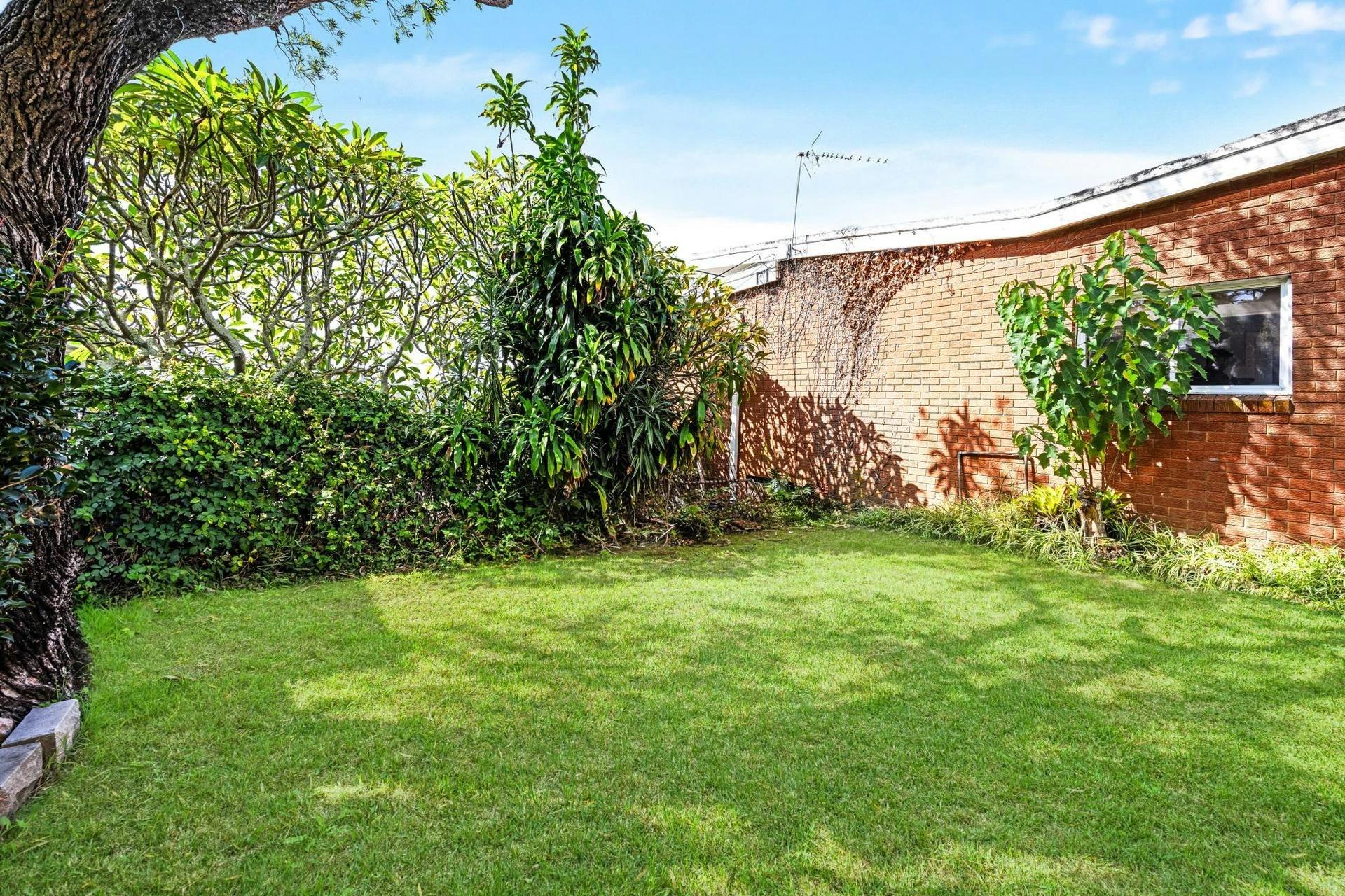 Image of backyard