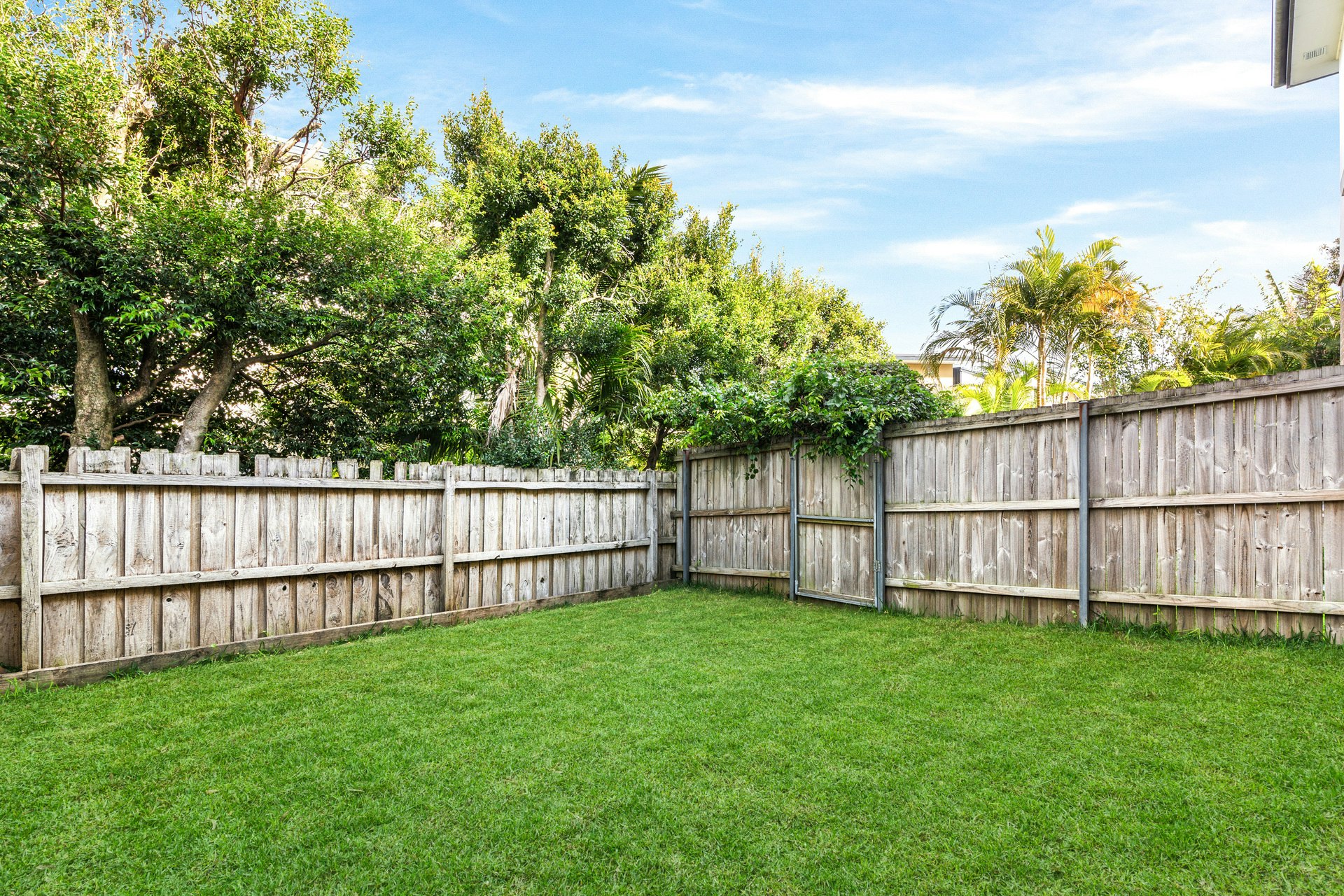 Image of backyard