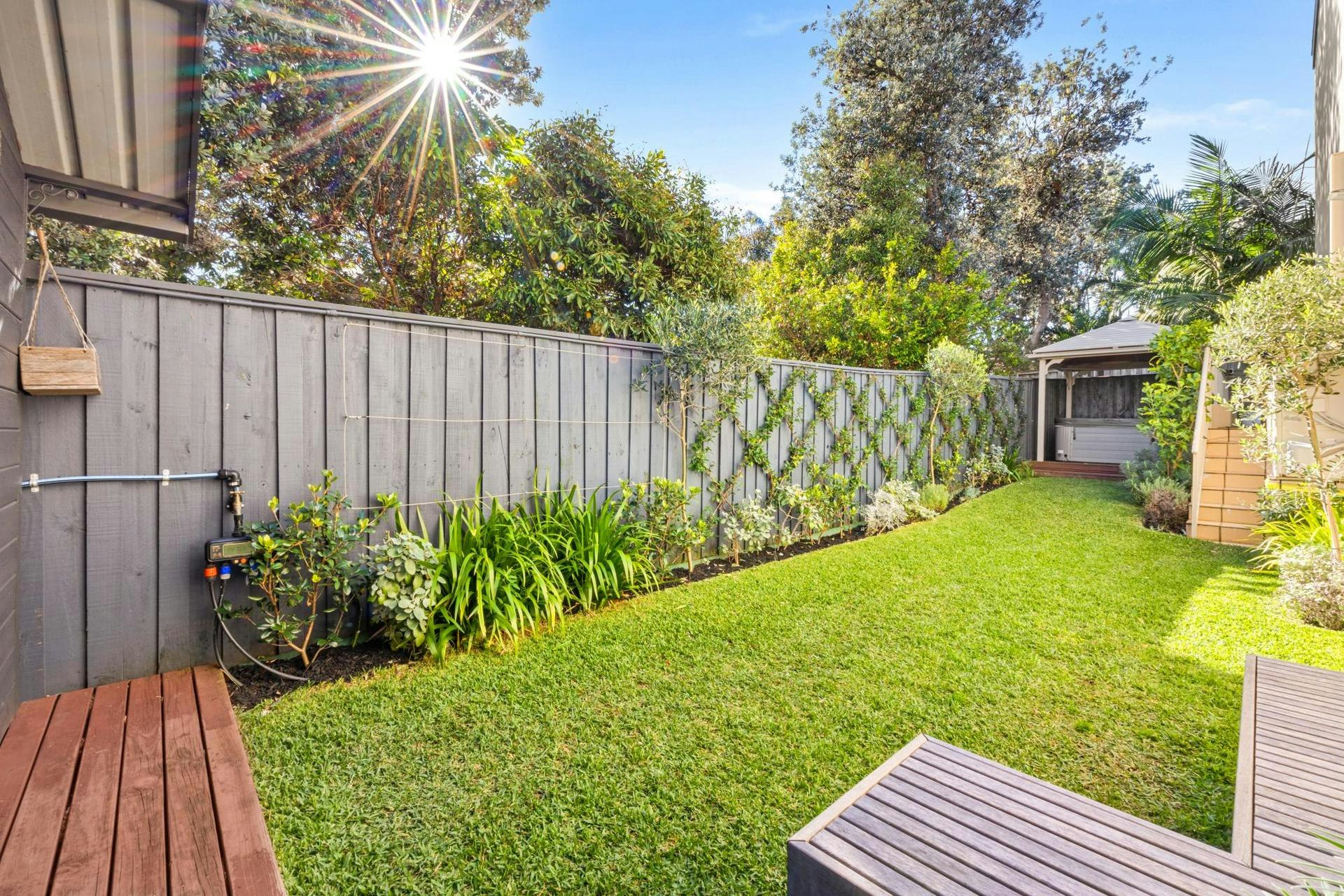 Image of backyard