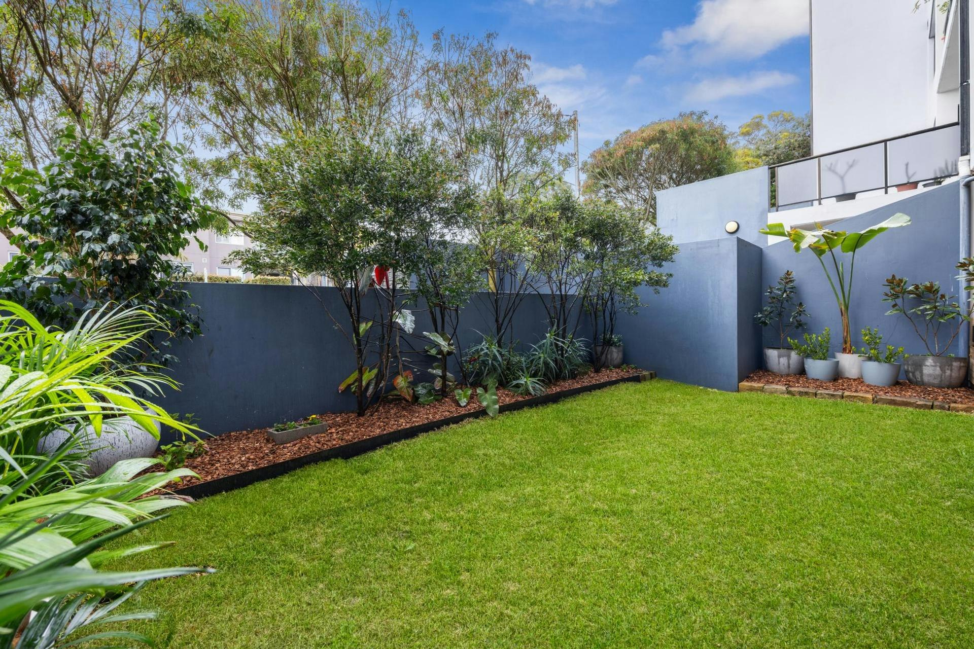 Image of backyard
