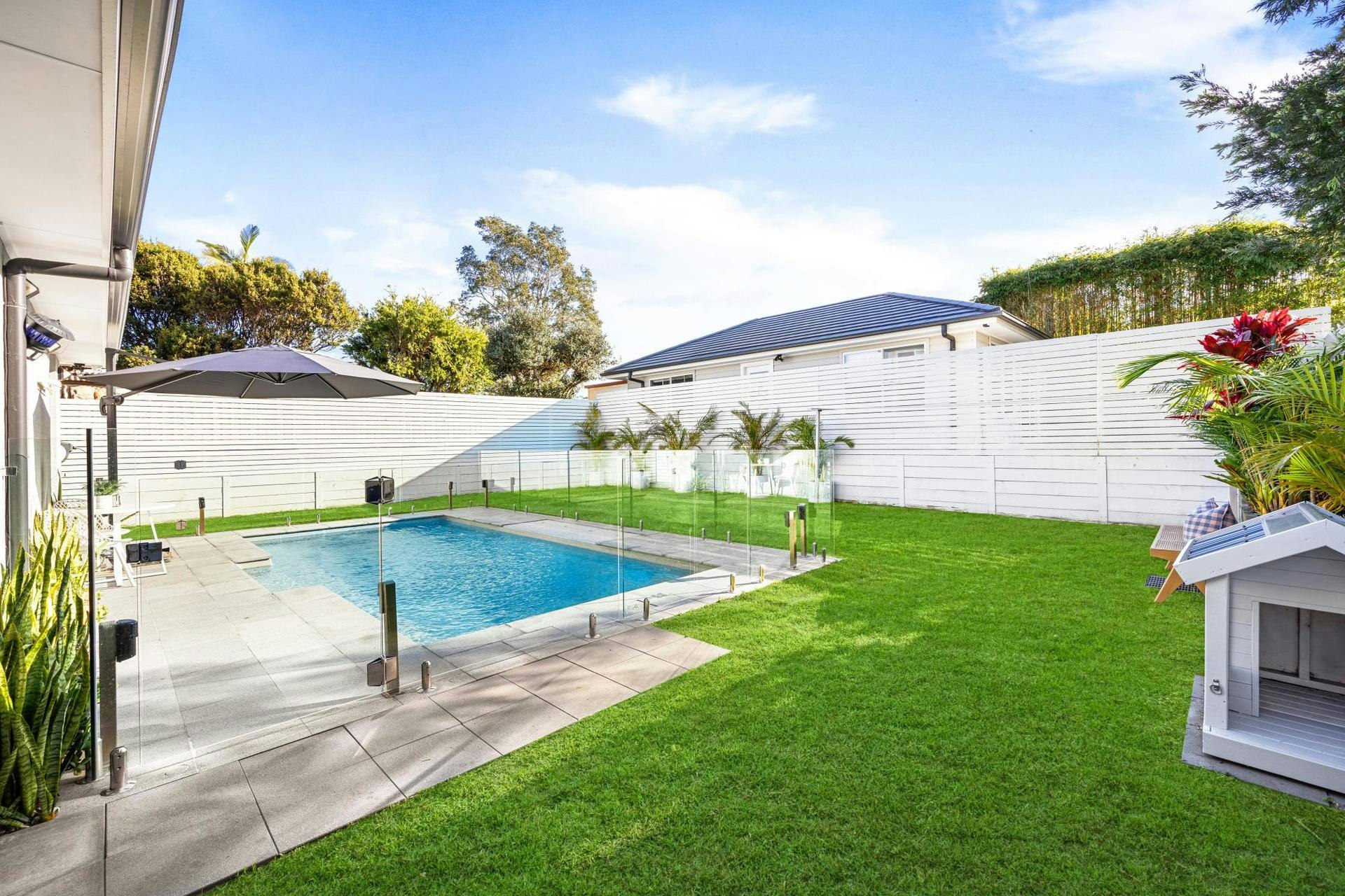 Image of backyard