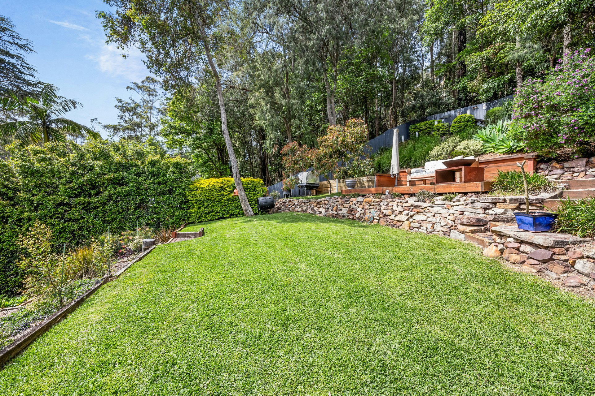 Image of backyard
