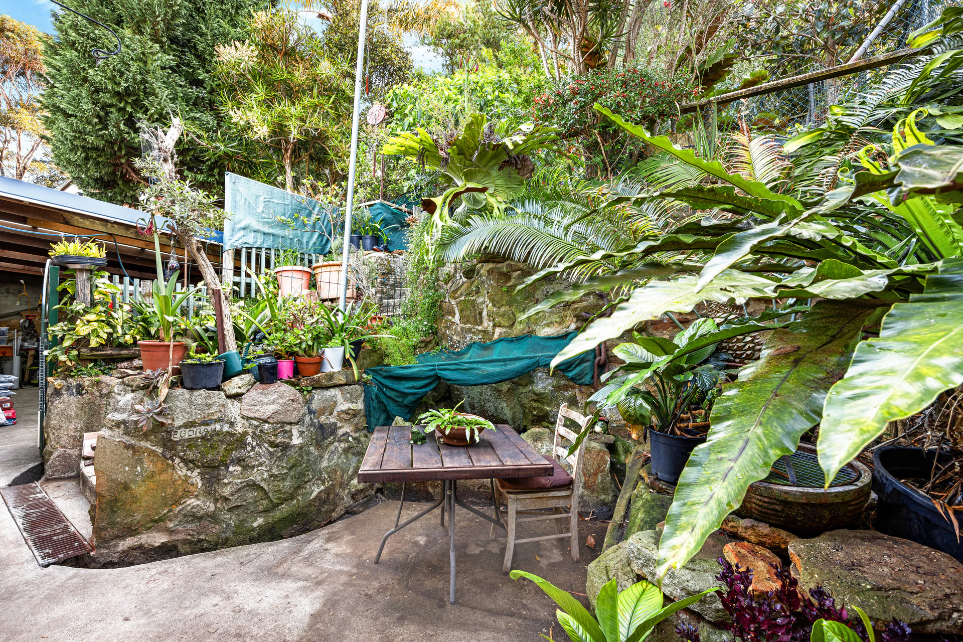garden