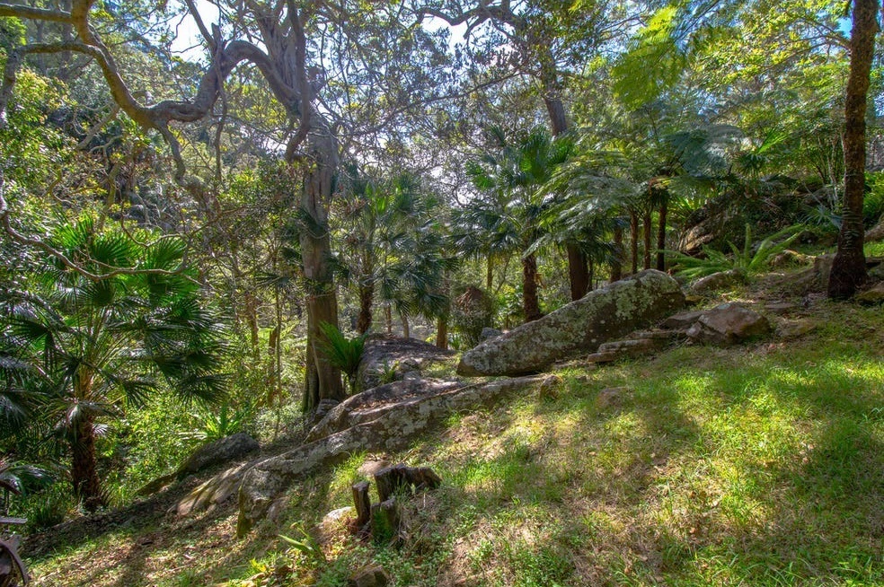 jungle