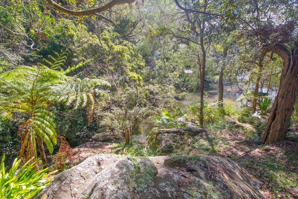 Image of vegetation