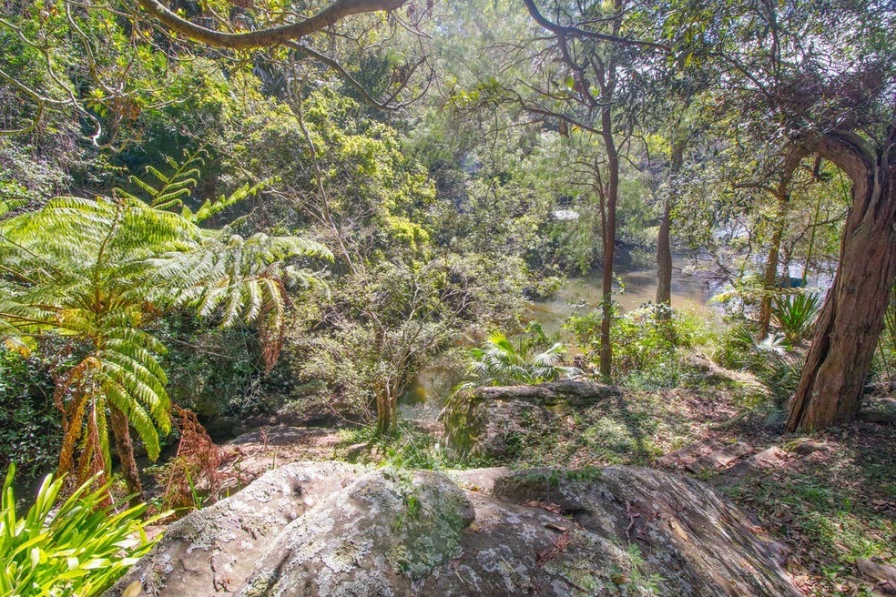 vegetation