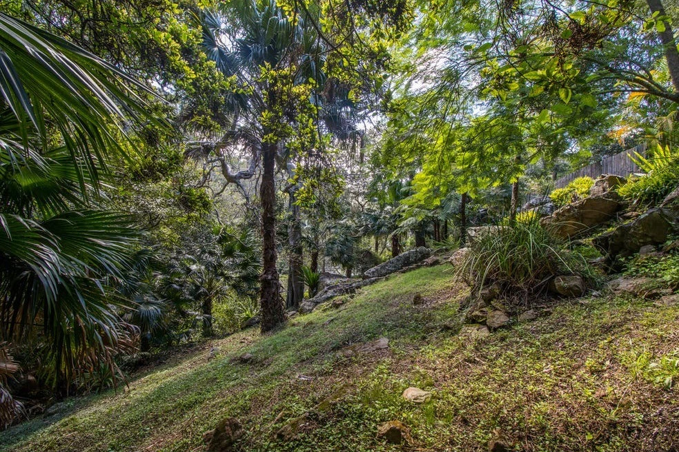 vegetation