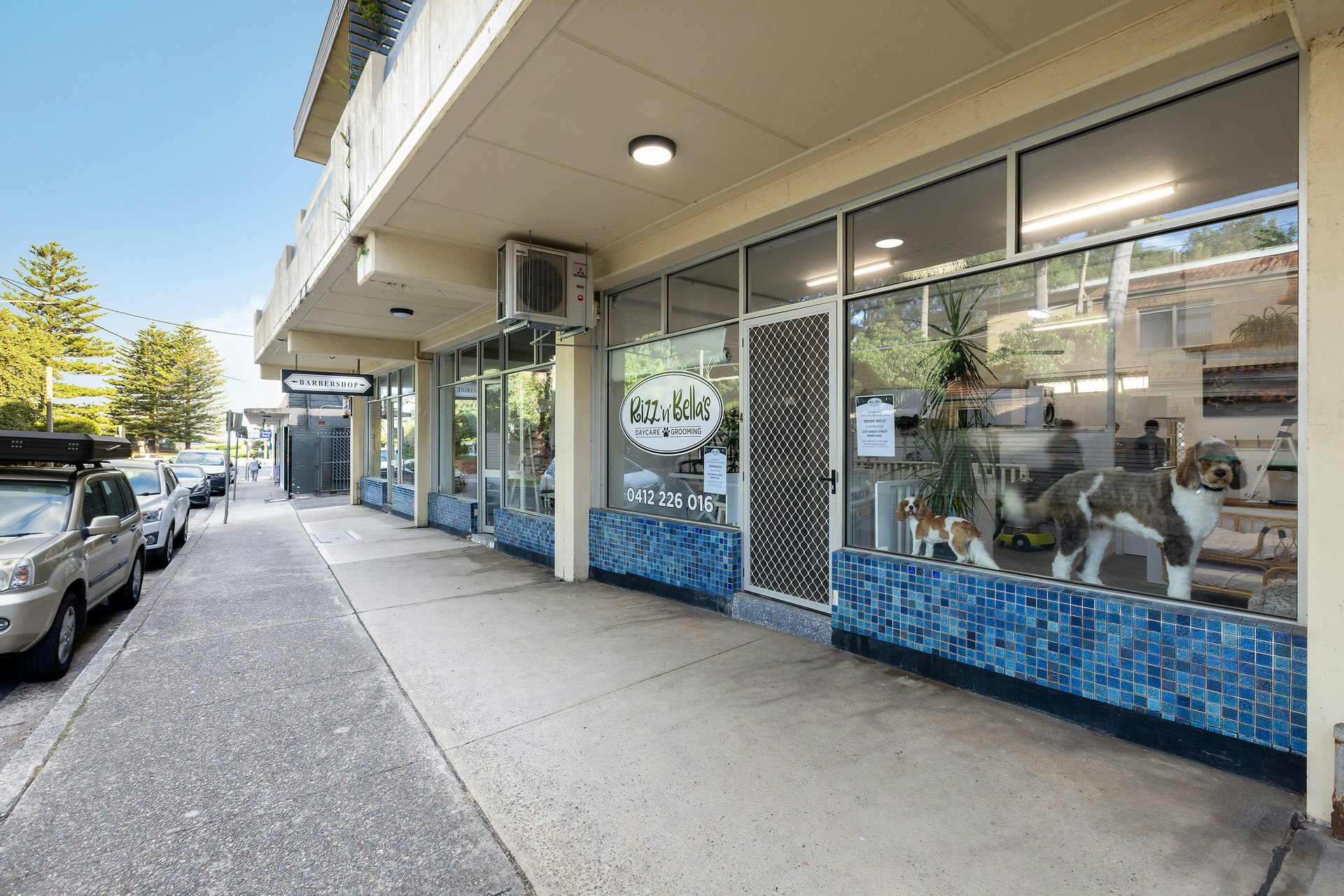 Image of path