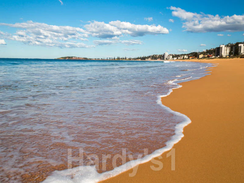 beach