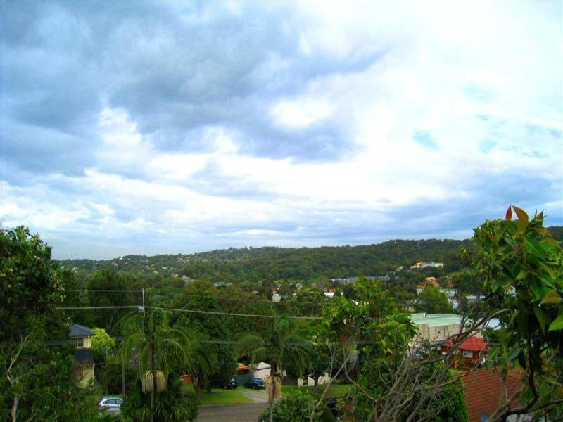 vegetation