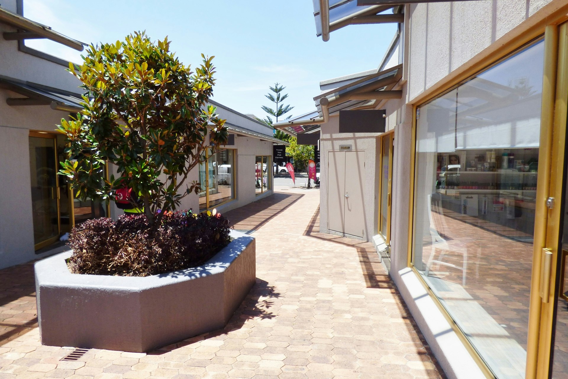 Image of path