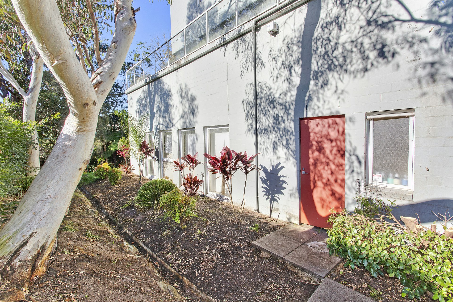 Image of path
