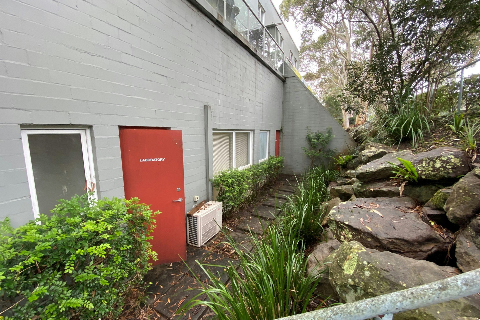 Image of backyard